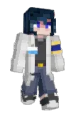 WhimsicalRain Minecraft avatar full body