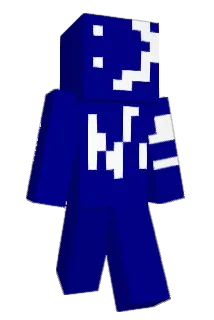 Whizzrad Minecraft avatar full body
