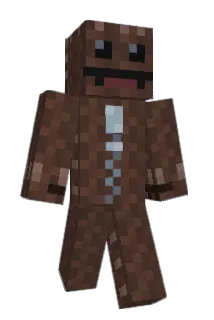 WhoHaWho Minecraft avatar full body