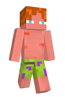 WhoIsFor Minecraft avatar full body