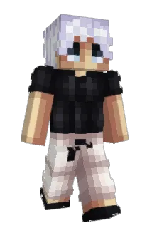 Who__ami Minecraft avatar full body