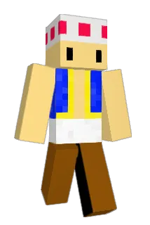 WhomsTisB Minecraft avatar full body
