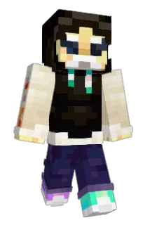 WhyCanWeNot Minecraft avatar full body