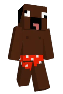 Why_1234 Minecraft avatar full body