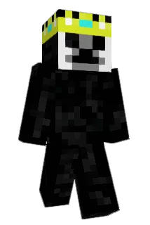 Wi11zw Minecraft avatar full body