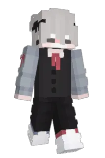 WiTaKoS Minecraft avatar full body