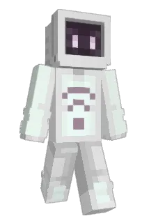 Wi_Fi Minecraft avatar full body