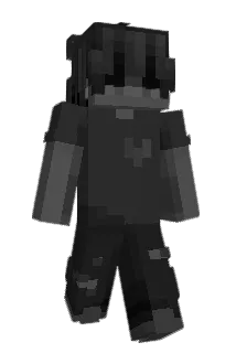 WichtigesWlan Minecraft avatar full body