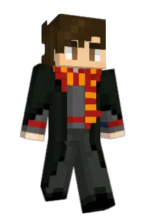 Wide_Doggo Minecraft avatar full body