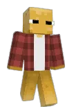 Wideshrub Minecraft avatar full body