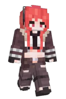 Widixx Minecraft avatar full body