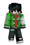 WidoYT Minecraft avatar full body