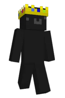 Wienerf4rt Minecraft avatar full body