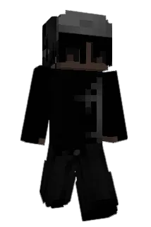 WifiTM Minecraft avatar full body