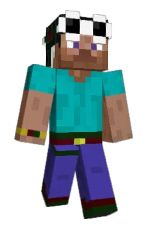 Wiildd Minecraft avatar full body