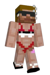WiketWarkit Minecraft avatar full body
