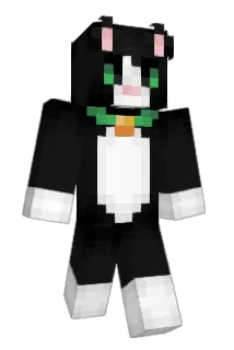 Wikicraft05 Minecraft avatar full body