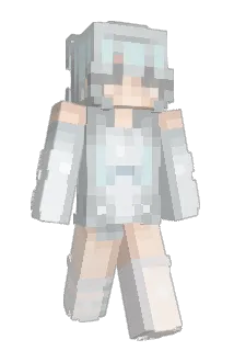 Wikimiki1234 Minecraft avatar full body
