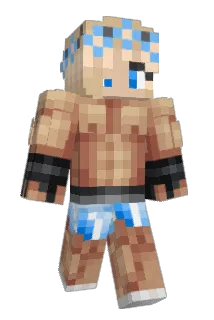 WikusDixon Minecraft avatar full body