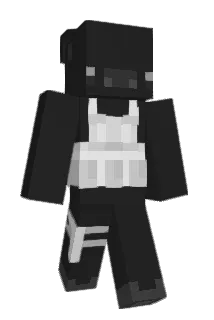 Wilbur_02 Minecraft avatar full body