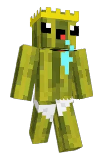 Wilcioch Minecraft avatar full body