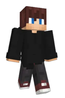 Wild704 Minecraft avatar full body