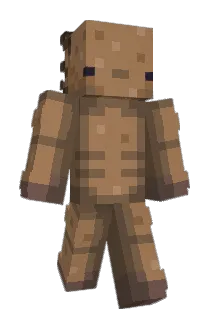WildAxolotl Minecraft avatar full body