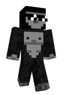 Wildmonkey77473 Minecraft avatar full body