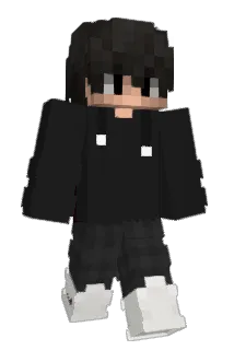 Wildnic99 Minecraft avatar full body