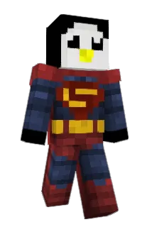 Wildwille Minecraft avatar full body