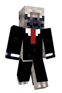 Wilgab Minecraft avatar full body