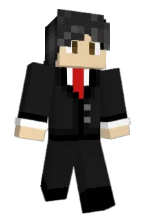 Wili1719 Minecraft avatar full body