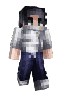 Wilk_d Minecraft avatar full body