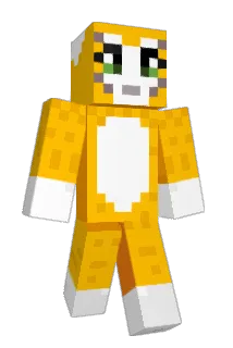 Will6505 Minecraft avatar full body
