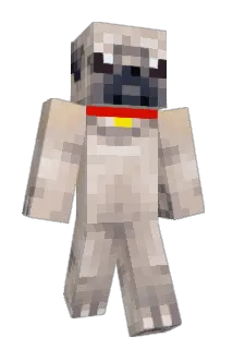 Will_and_Andy Minecraft avatar full body