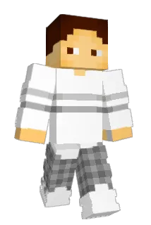 WilldeinSkill Minecraft avatar full body