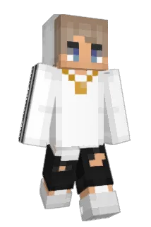 Willer5811 Minecraft avatar full body