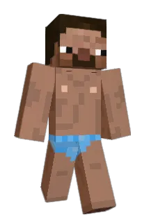 Willero Minecraft avatar full body