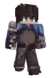 WillnAus Minecraft avatar full body