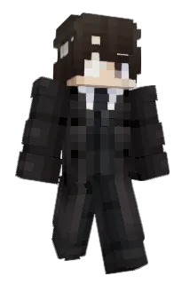 WillowStain Minecraft avatar full body