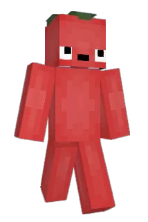Willow_Willow Minecraft avatar full body