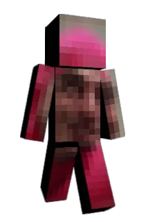 WillyFlaccid Minecraft avatar full body
