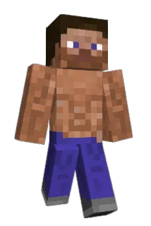 Wilmer_L Minecraft avatar full body