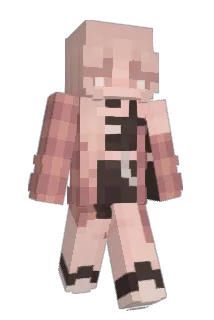 Wilsonfam3 Minecraft avatar full body