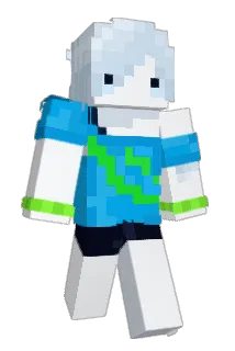 Wimble1225 Minecraft avatar full body