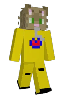 WindowCatt Minecraft avatar full body