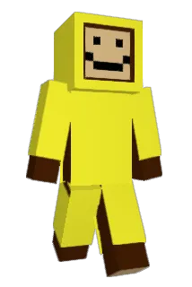 Wingdongle Minecraft avatar full body
