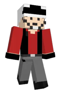 Winky Minecraft avatar full body