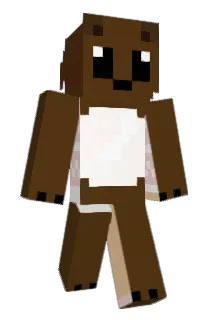 WinniBear Minecraft avatar full body