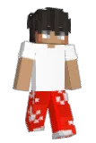 Winnieur Minecraft avatar full body
